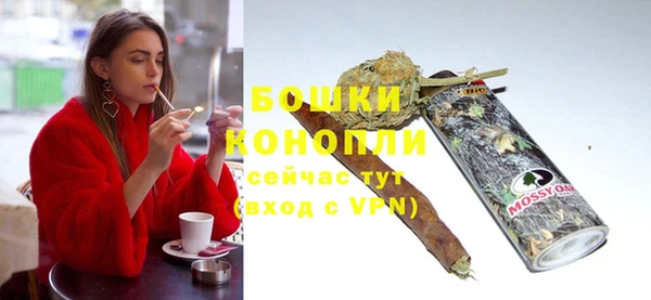 молекула духа Покров