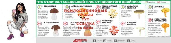 сатива Арсеньев