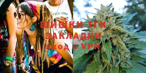 сатива Арсеньев