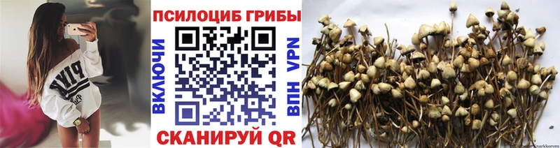 Псилоцибиновые грибы Psilocybine cubensis  где найти наркотики  Лакинск 